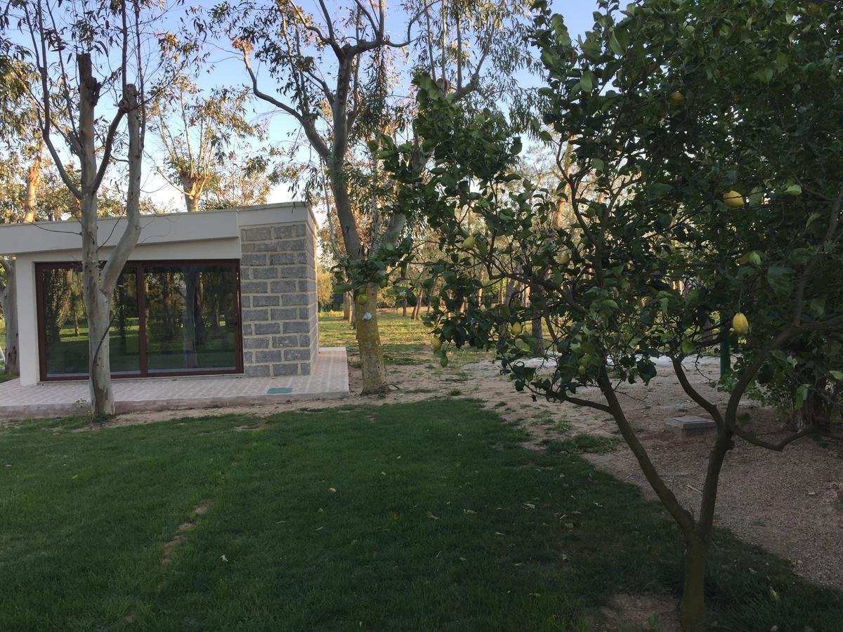 Tenuta Monaci La Murra Carmiano  Ngoại thất bức ảnh